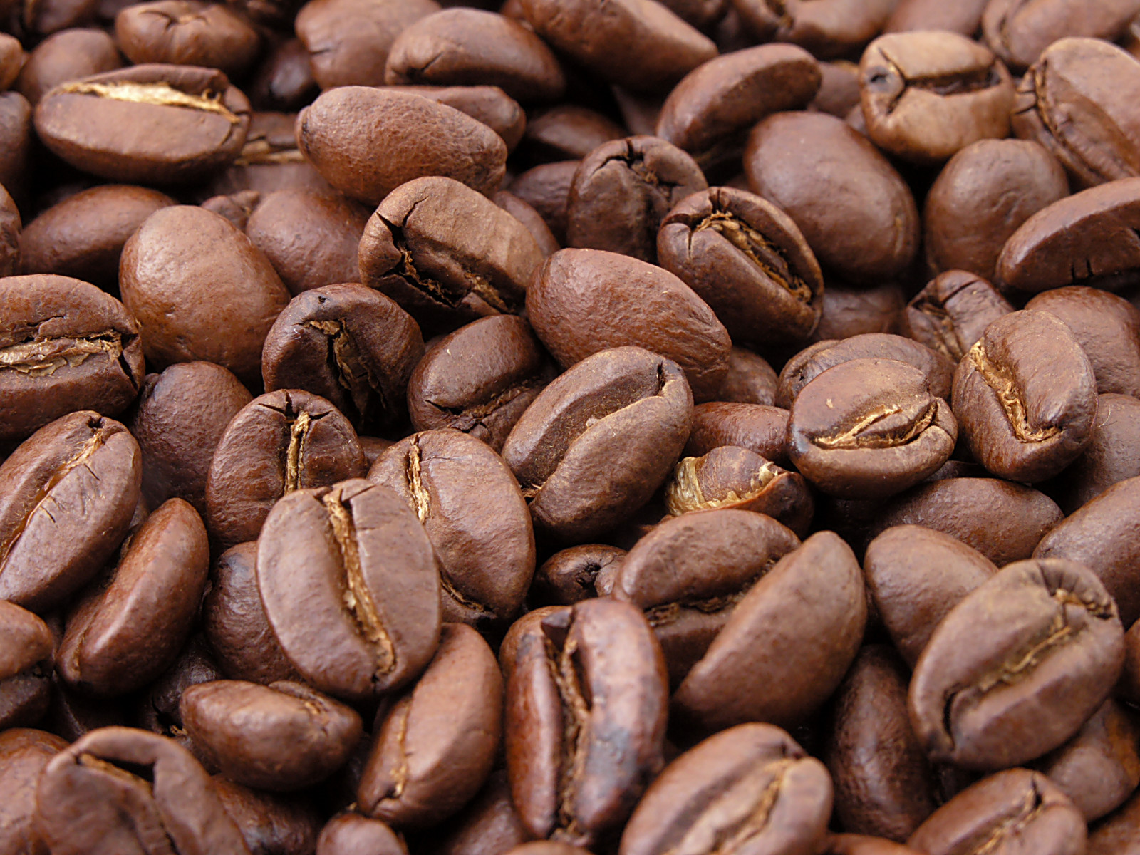 Tipps zur Reinigung vollautomatischer Kaffeemaschinen